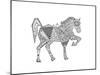 Animal Horse2-Neeti Goswami-Mounted Art Print