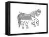 Animal Horse3-Neeti Goswami-Framed Stretched Canvas