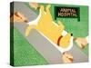 Animal Hospital Yellow-Stephen Huneck-Stretched Canvas