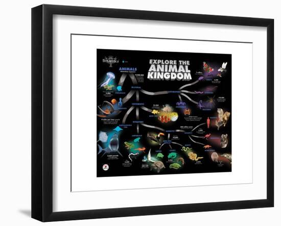 Animal Kingdom Chain of Survival-Encyclopaedia Britannica-Framed Art Print