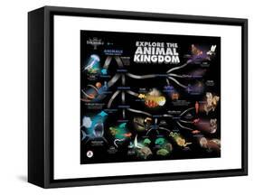 Animal Kingdom Chain of Survival-Encyclopaedia Britannica-Framed Stretched Canvas