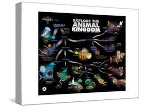 Animal Kingdom Chain of Survival-Encyclopaedia Britannica-Stretched Canvas