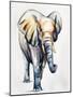 Animal Kingdom II-Sydney Edmunds-Mounted Giclee Print