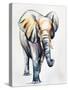 Animal Kingdom II-Sydney Edmunds-Stretched Canvas