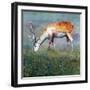 Animal Kingdom VI-Sydney Edmunds-Framed Giclee Print