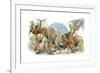 Animal Kingdom-Tim Knepp-Framed Giclee Print