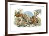 Animal Kingdom-Tim Knepp-Framed Giclee Print