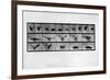 Animal Locomotion-null-Framed Giclee Print