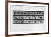 Animal Locomotion-null-Framed Giclee Print