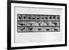 Animal Locomotion-null-Framed Giclee Print