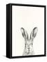 Animal Mug I-Victoria Borges-Framed Stretched Canvas