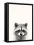 Animal Mug II-Victoria Borges-Framed Stretched Canvas