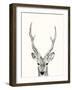 Animal Mug IV-Victoria Borges-Framed Art Print