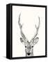 Animal Mug IV-Victoria Borges-Framed Stretched Canvas