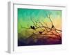 Animal of Wildlife ( Bird on Tree Branch and Low Poly Vector Background)-ananaline-Framed Art Print