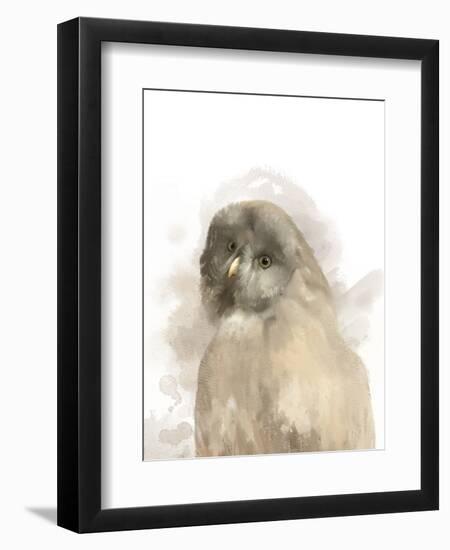 Animal Owl-Matthew Piotrowicz-Framed Art Print