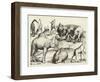 Animal Paintings from Ancient Rome, Table, 3., Pub. Antonio Lafrere 1528 (Engraving)-Italian School-Framed Giclee Print