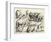 Animal Paintings from Ancient Rome, Table, 3., Pub. Antonio Lafrere 1528 (Engraving)-Italian School-Framed Giclee Print