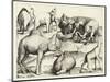 Animal Paintings from Ancient Rome, Table, 3., Pub. Antonio Lafrere 1528 (Engraving)-Italian School-Mounted Giclee Print