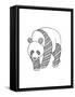 Animal Panda-Neeti Goswami-Framed Stretched Canvas