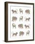 Animal Pattern-Miguel Balbás-Framed Giclee Print