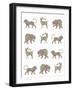 Animal Pattern-Miguel Balbás-Framed Giclee Print