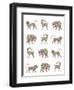 Animal Pattern-Miguel Balbás-Framed Giclee Print