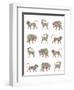 Animal Pattern-Miguel Balbás-Framed Giclee Print