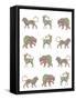 Animal Pattern-Miguel Balbás-Framed Stretched Canvas