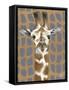 Animal Patterns I-null-Framed Stretched Canvas