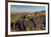 Animal Petroglyphs Between 5-Inaki Relanzon-Framed Photographic Print