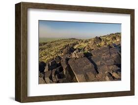 Animal Petroglyphs Between 5-Inaki Relanzon-Framed Photographic Print