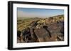 Animal Petroglyphs Between 5-Inaki Relanzon-Framed Photographic Print