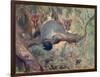 Animal, Phalanger 1909-Cuthbert Swan-Framed Art Print