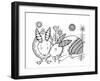 Animal Rabbits-Neeti Goswami-Framed Art Print