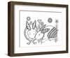 Animal Rabbits-Neeti Goswami-Framed Art Print