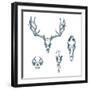 Animal Scull Set Deer Horse Cat Crow-Ptich-ya-Framed Premium Giclee Print