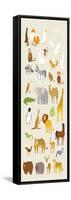 Animal Set Vector Illustration Wildlife in Jungle-miniwide-Framed Stretched Canvas