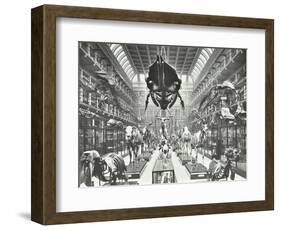 Animal Skeletons at the Royal College of Surgeons, Westminster, London, 1911-null-Framed Photographic Print