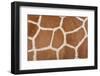 Animal Skin Background of the Patterned Fur Texture on an African Giraffe-David Carillet-Framed Photographic Print