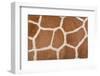 Animal Skin Background of the Patterned Fur Texture on an African Giraffe-David Carillet-Framed Photographic Print