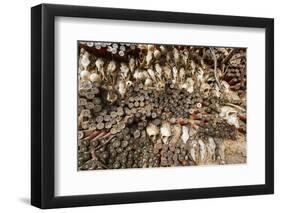 Animal skulls and ammo embedded in wall, Mopti Region, Mali-Art Wolfe-Framed Photographic Print