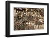 Animal skulls and ammo embedded in wall, Mopti Region, Mali-Art Wolfe-Framed Photographic Print