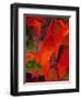 Animal Soup-John Newcomb-Framed Giclee Print