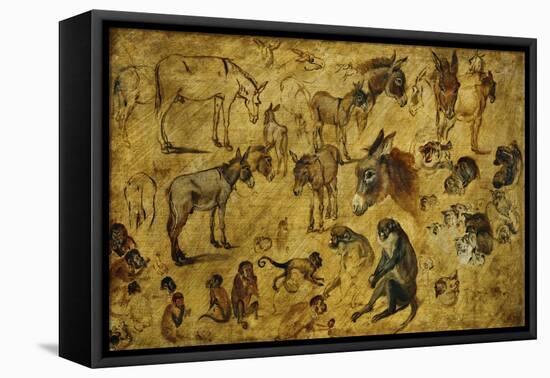 Animal Studies: Donkeys, Cats, Monkeys-Jan Brueghel the Elder-Framed Stretched Canvas