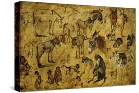 Animal Studies: Donkeys, Cats, Monkeys-Jan Brueghel the Elder-Stretched Canvas