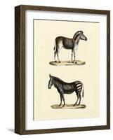 Animal Studies I-Vision Studio-Framed Art Print