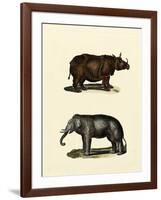 Animal Studies IV-Vision Studio-Framed Art Print