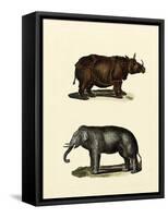 Animal Studies IV-Vision Studio-Framed Stretched Canvas