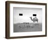 Animal Talk 11,-Jaschi Klein-Framed Photographic Print